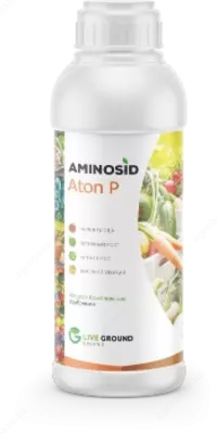 Аминосид Атон П