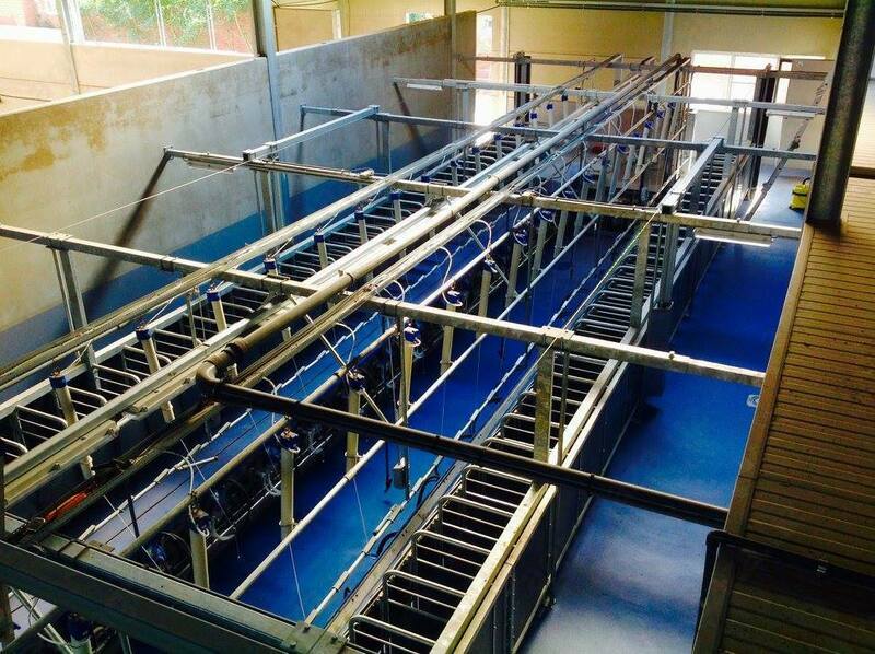 "parallel" Sog'ish zallari