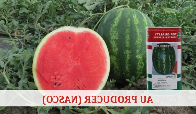 AU PRODUCER Nasco urug'i