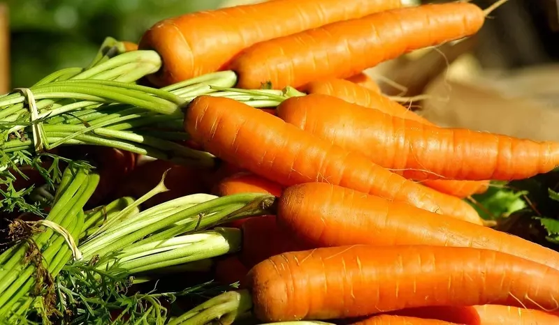 Морковь
