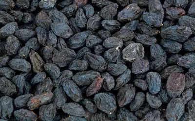 Mayiz qora Jщmbo (soyali quritish)