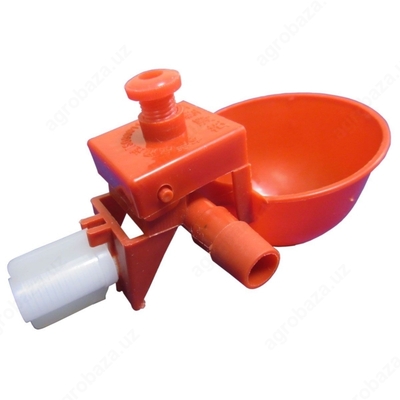 Chashkali avtomatik suv idishi