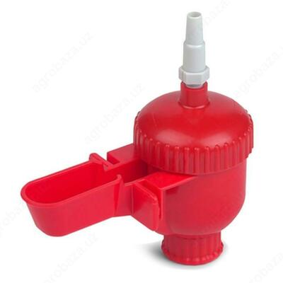 Chashkali avtomatik suv idishi