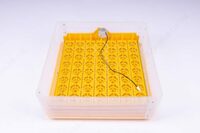 Avtomatik 112Y model inkubatori