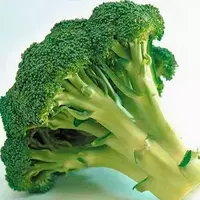 Brokkoli urugi "Monako F1" 🥦