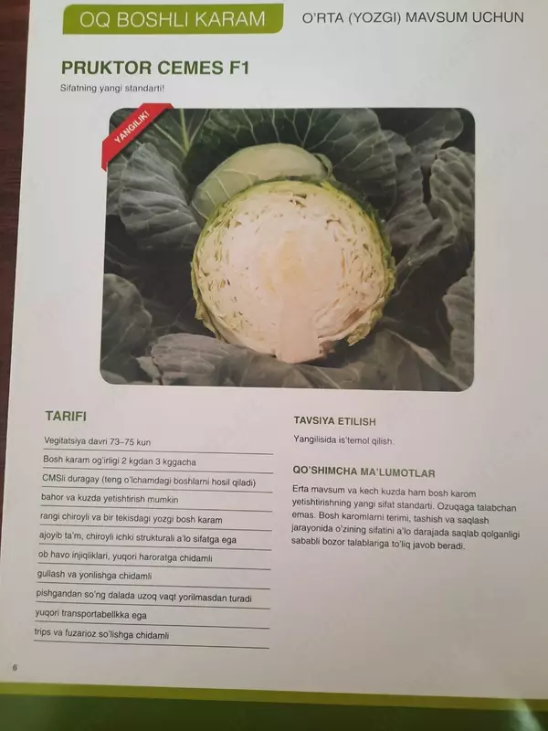 PRUKTOR CEMES F1 Karam urug'i