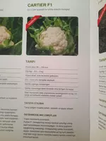 CARTIER F1 Gulkaram urug'i