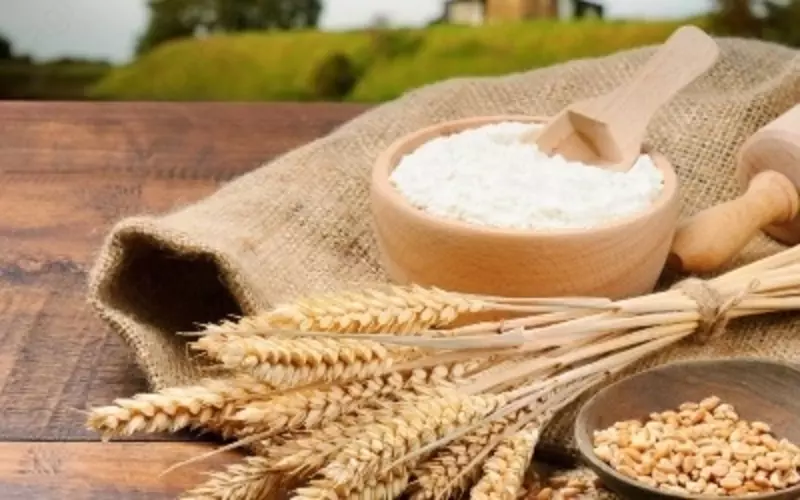 ПШЕНИЦА ДЛЯ ПРОИЗВОДСТВА МУКИ 3 И 4 КЛАСС