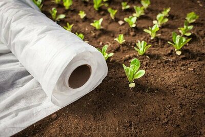 Qoplama materiallari