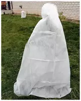 Qoplama materiallari