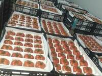 Qizil va pushti kalibr 6+ pomidorlari