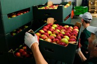 Gofrokartondan tovoqlar hosil qilish uchun uskunalar