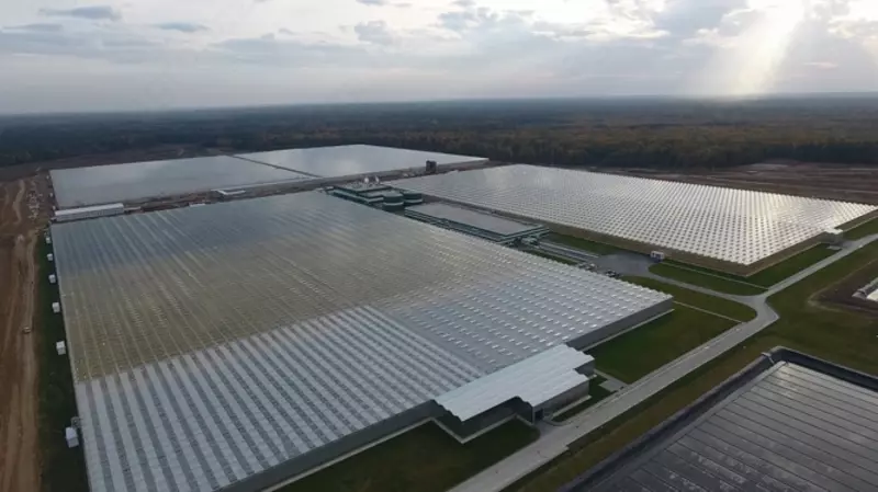 Sanoat issiqxonalari