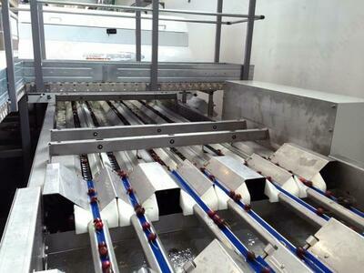 Meva uchun saralash uskunalari