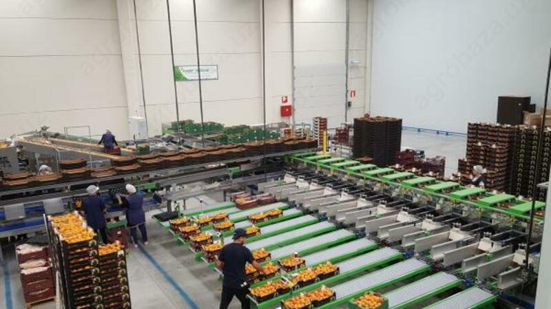 Meva uchun saralash uskunalari