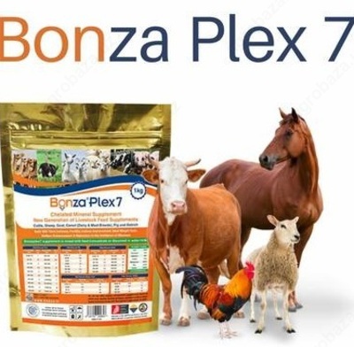 Mineral xelat qo'shimchalari