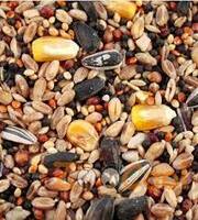 Qushlar uchun oziq-ovqat