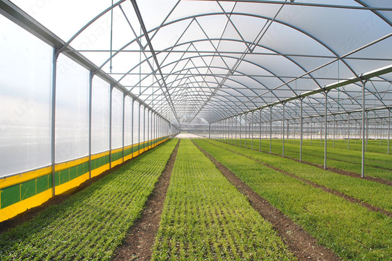 SOF-1000 issiqxonasi