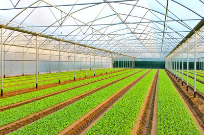 Теплицы SOF-1000