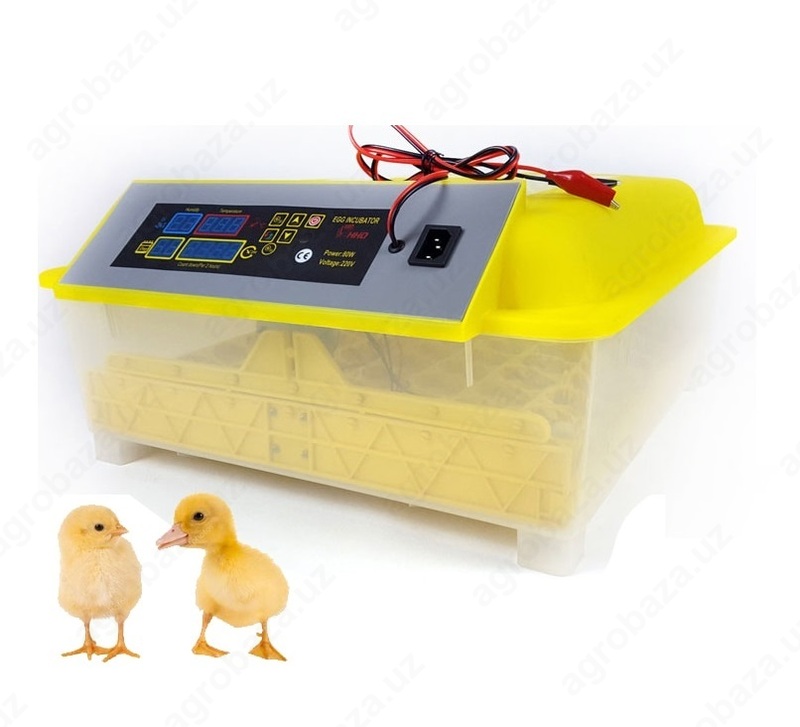 инкубатор на 16 c