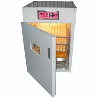 Inkubator Shkaf 352 talik