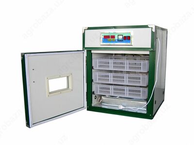 Inkubator Shkaf 528 talik