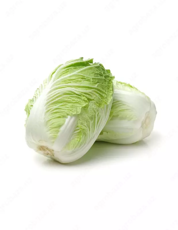 Richi F1 karam urug'i