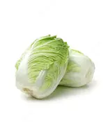 Richi F1 karam urug'i