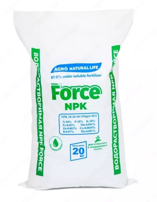 FOSCEПНК 10.10.43 o`g`iti