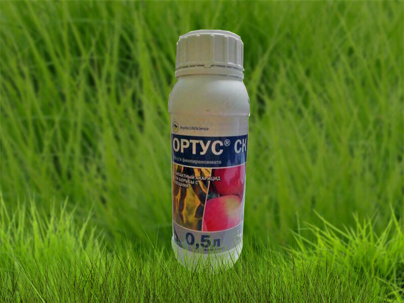 Insektitsid ORTUS 5 %