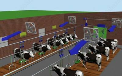 Qoramollar uchun ventilyatorlar