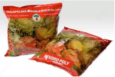 РЕКОРД ва ЦЕНТАУР ОЗУҚА ЛАВЛАГИ