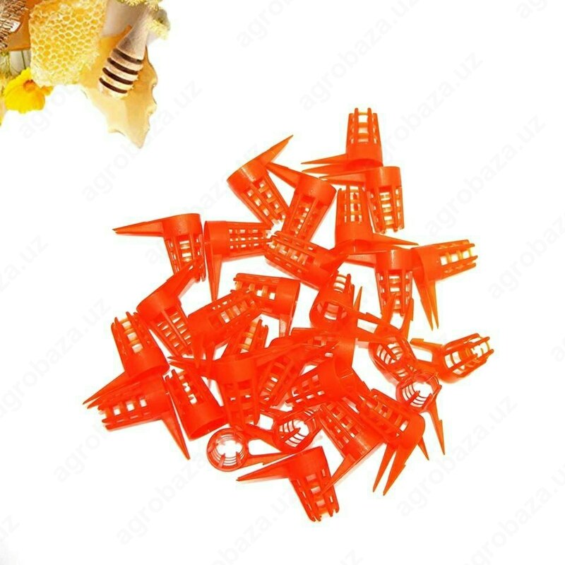 Королевские клетка