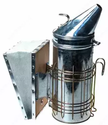 Asalarichining dimari