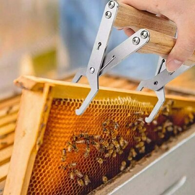 Asalari ramkalari uchun tutqich