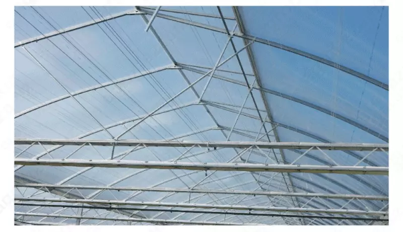 Плёнка BAEKBAEK Coat