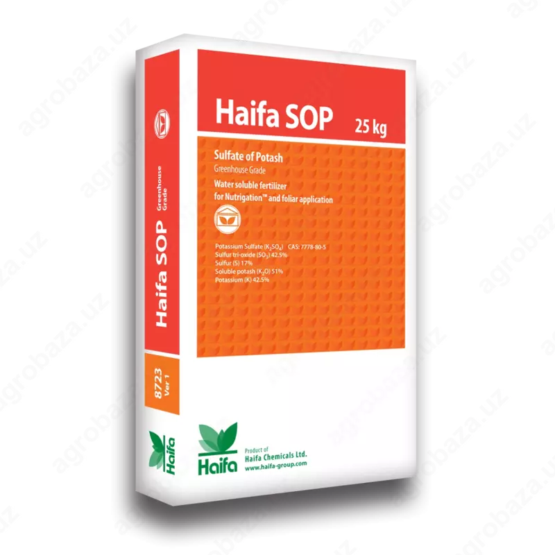 Mono o'g'it Haifa S.O.P.