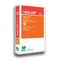 Mono o'g'it Haifa S.O.P.