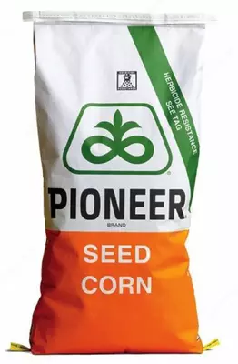 Pioner makkajo'xori urug'i