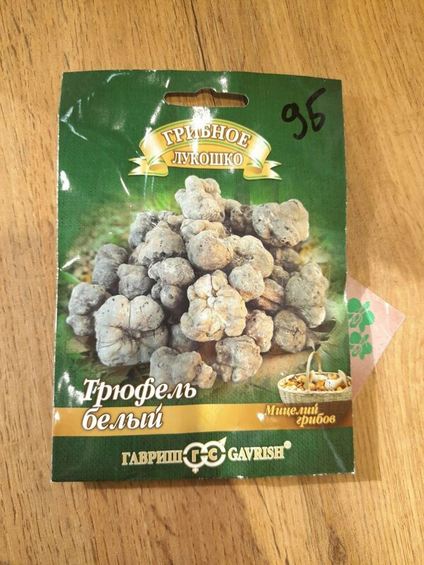 Truffle oq qo'ziqorin miseliyasi