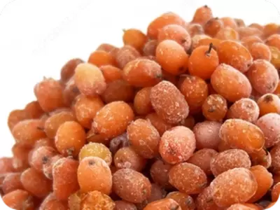 Muzlatilgan itshumurt