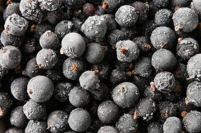 Muzlatilgan smorodina