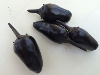 Qora akula qalampiri ko'chatlari