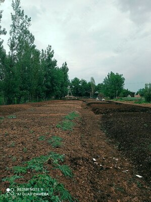 Биогомус 2 сорт