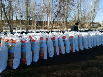 Биогомус 2 сорт