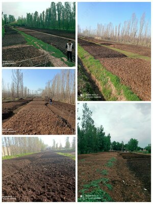 Биогомус 1 сорт