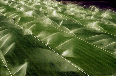 irri-0029 IRRIPRO GREY SPRINKER 12-18 MT