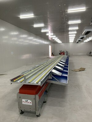 Янги мева/сабзавот учун "FUTURA" юқори технологияли саралаш/калибрлаш линиялари