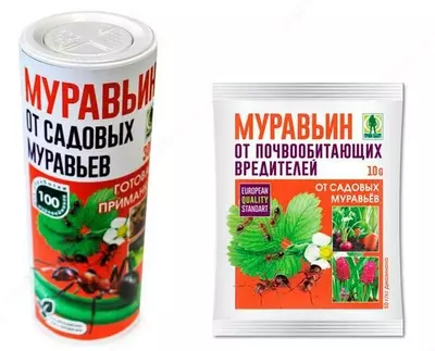 Insektitsid Murav’in