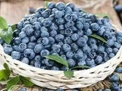 Торф Кислый